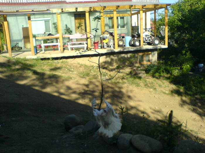 DSC01076 - poze 2009