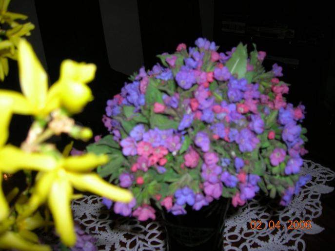 buchet 3 - flori de primavara si pisici