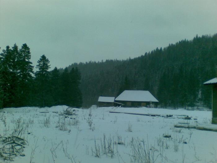 17012009(003) - vanatoare padure