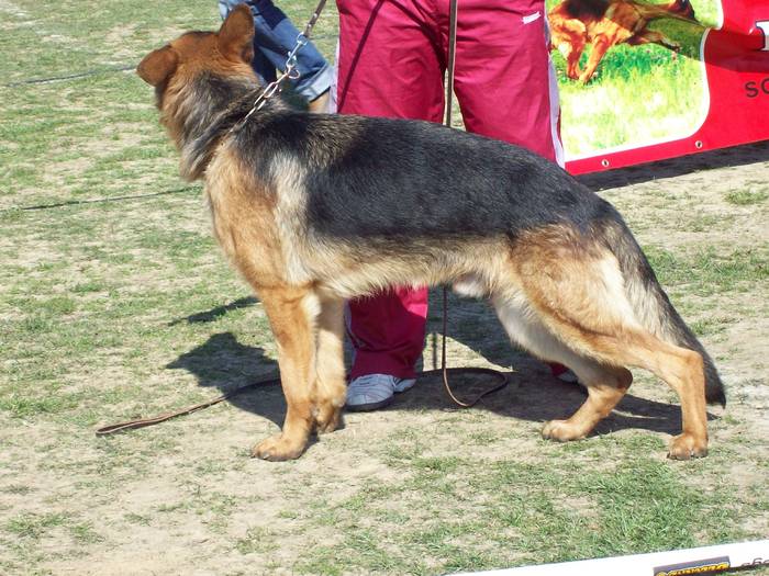 100_6817 - Expo-Pitesti-28martie2009