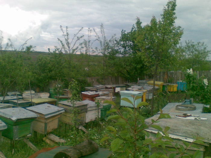 04052009(017) - Vaslui 2009