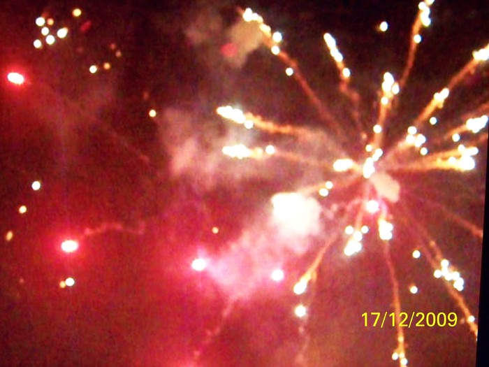 100_7073 - 1 Decembrie Timisoara