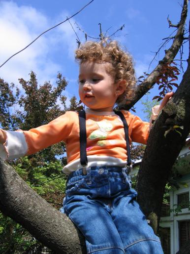 IMG_5873 - flori si floricele