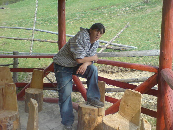 DSC02381 - asta da viata