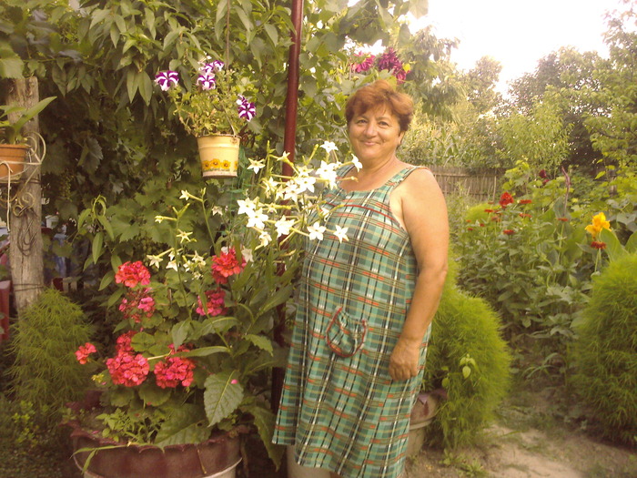 Copy of Fotografii-0454