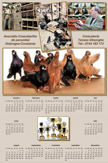 Picture 110 - jucatori de constanta