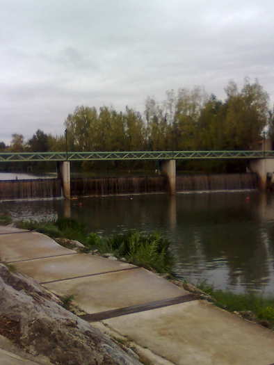 Imagine1338 - ApiMondia