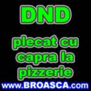 dnd plecat cu piatra la pizzarie
