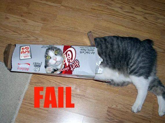 fail-cat - funny animals