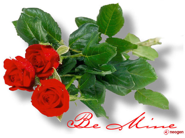 TRANDAFIR_3c4458f7_0050000386737_00_600