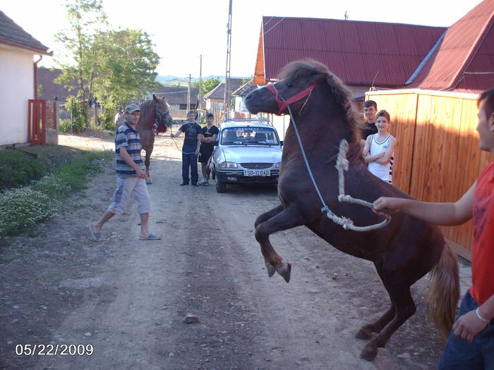 Ghuri