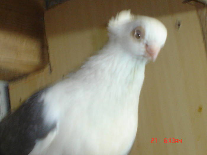 DSC02874