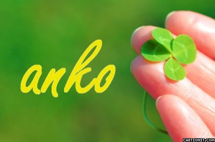 anko