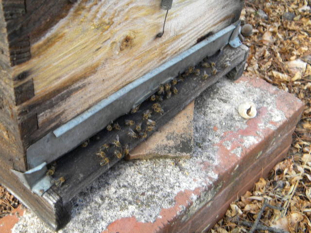 DSCN1868