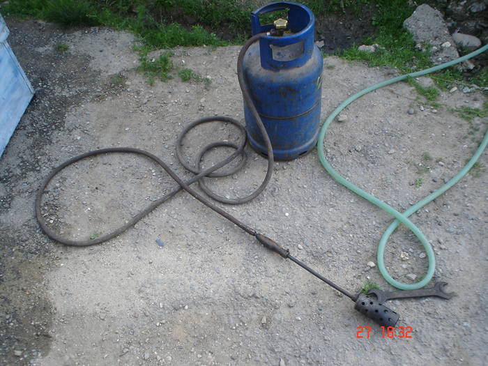 DSC05503 - albine alte noutati