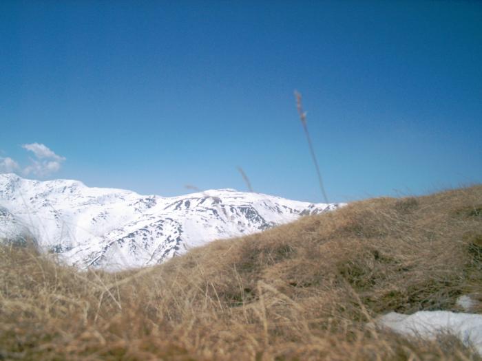 04130032 - Iezer-Papusa