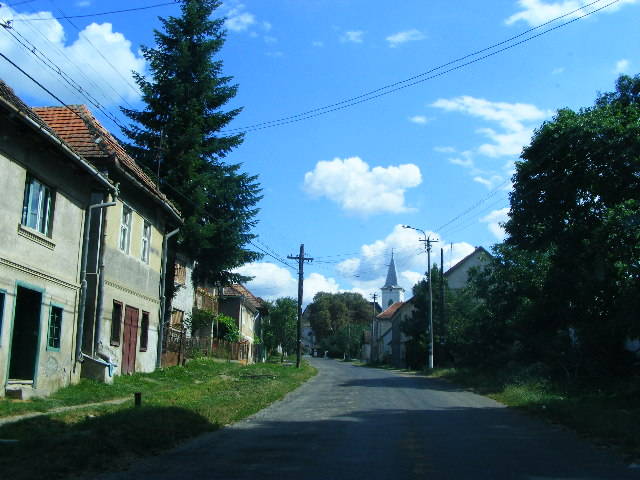 DSCF4035 - Tasnad iulie 2009