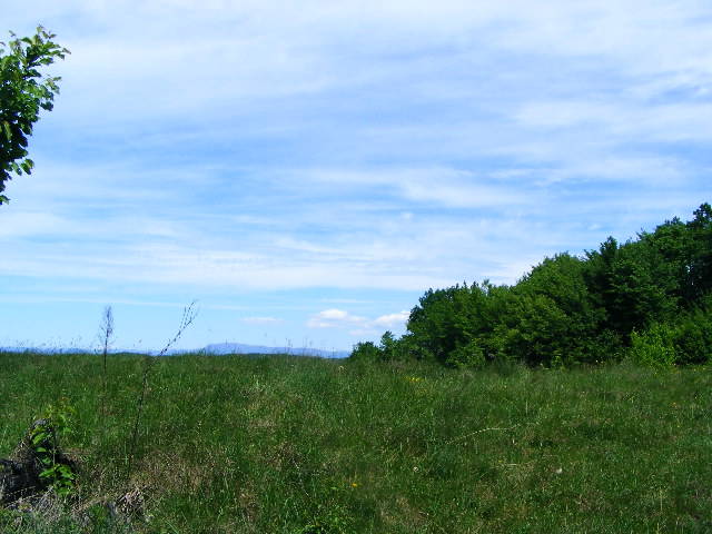 DSCF0527