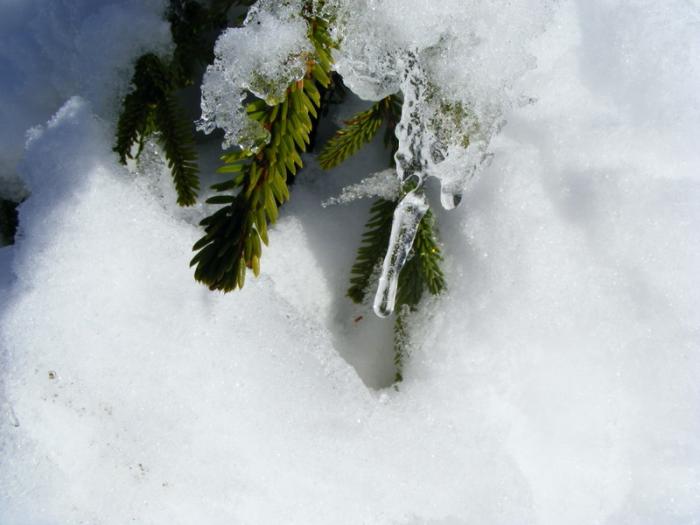 dscf3403yv4 - winter2008-2009