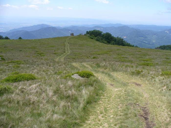 P1000479 - varful Ignis Maramures