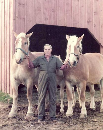 stan_doc_garrison_and_belgian_horses - poze cai