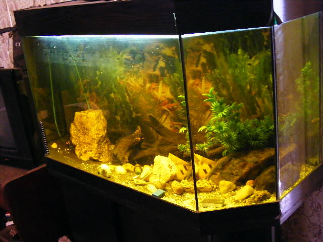 DSCF0161