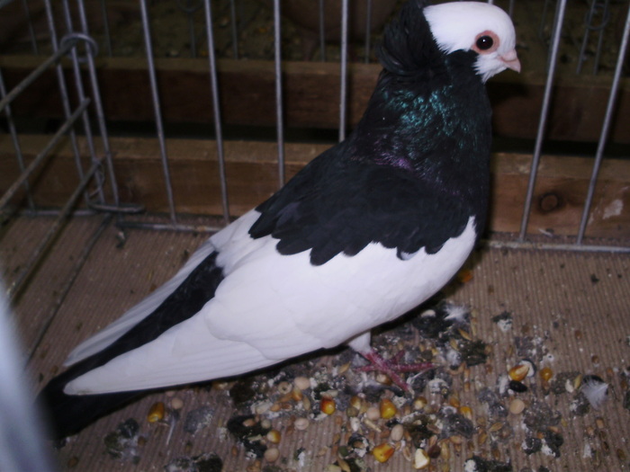 12012 s 1