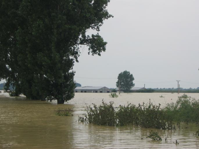 inundatii (71) - inundatii 2005 Galati
