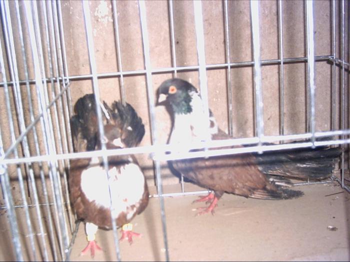 PICT0018