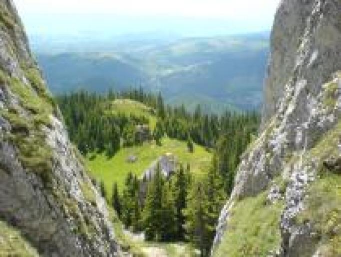 UANIILYHZQOXYZYIZOP - ROMANIA-2008
