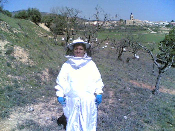 18032007 - apicultura
