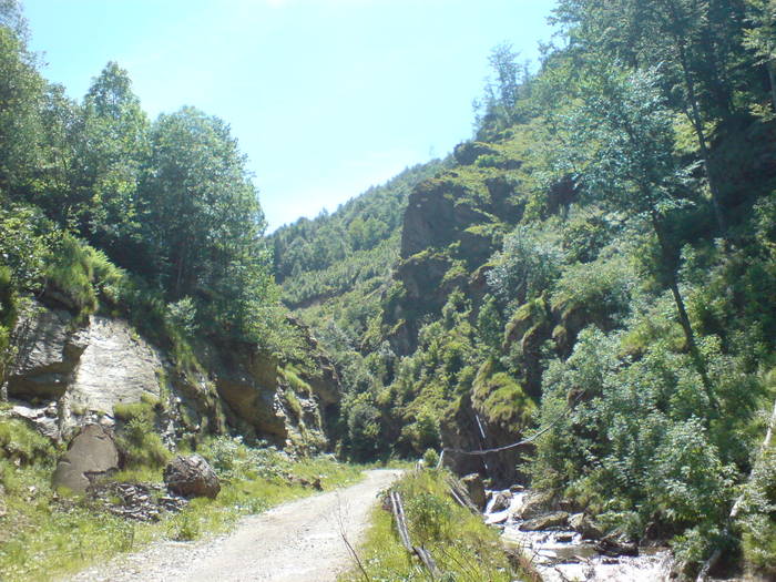DSC01643