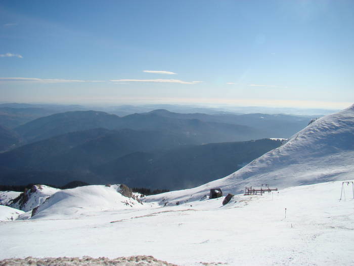 DSC01139 - Bucegi - Valea Izvorul Dorului-Padina