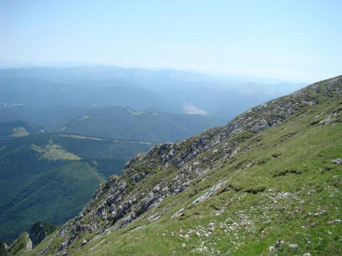 DSC01845 - Concediu 2008