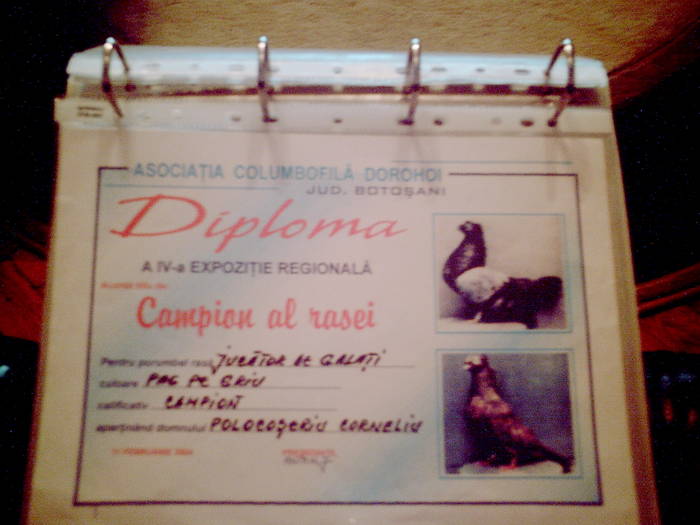 diploma