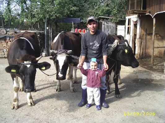 ILIE ADITU CU VACILE