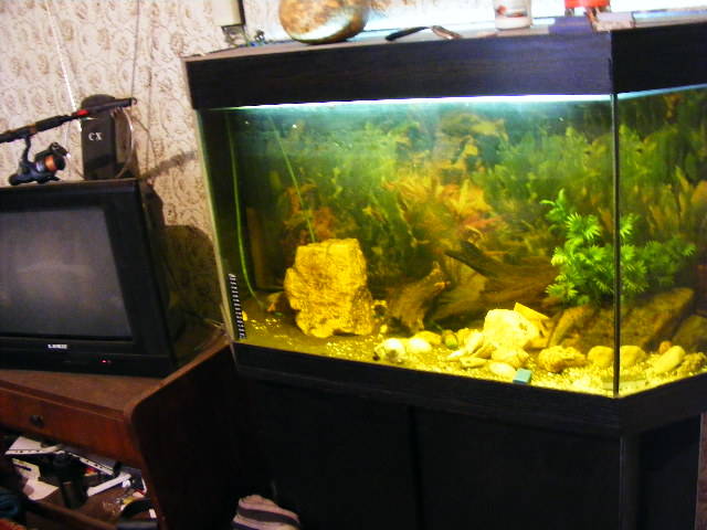 DSCF0159