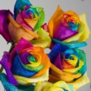 trandafiri-multicolori-150x150 - Culori la alegere