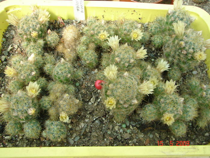 DSC05714