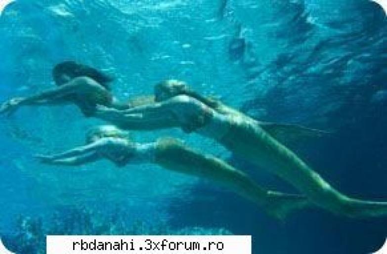 ok_53[1] - h2o