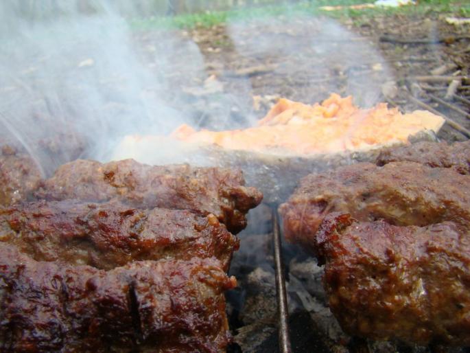 DSC02697 - 2008-03-22 - La padure-Baneasa