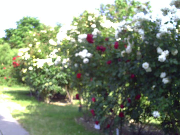 PICT0148 - EXCURSIE  in DELTA