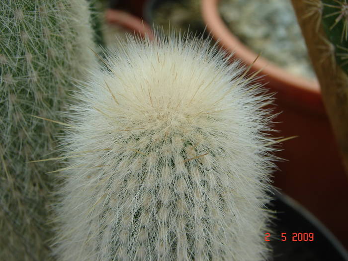 DSC05472