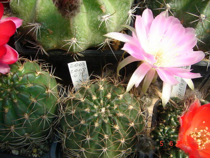 DSC05970