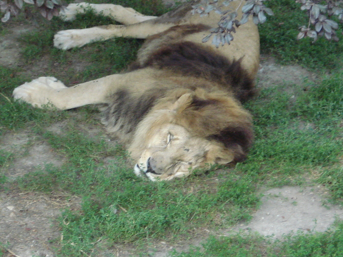 Picture 007