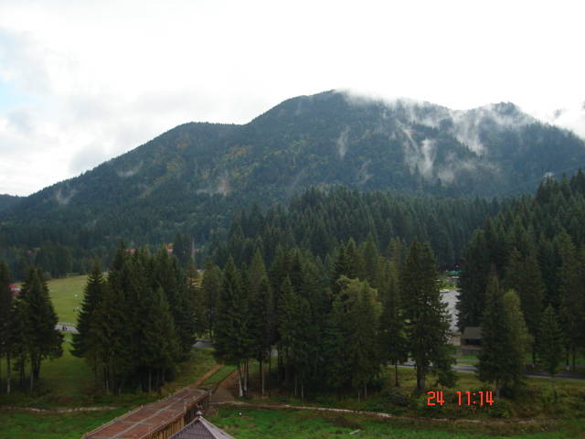 Picture 274 - 2006 POZE DIVERSE