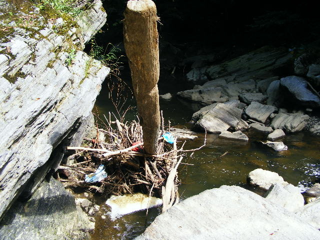 DSCF5208