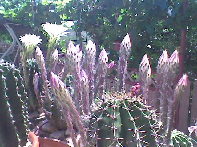 Imag034