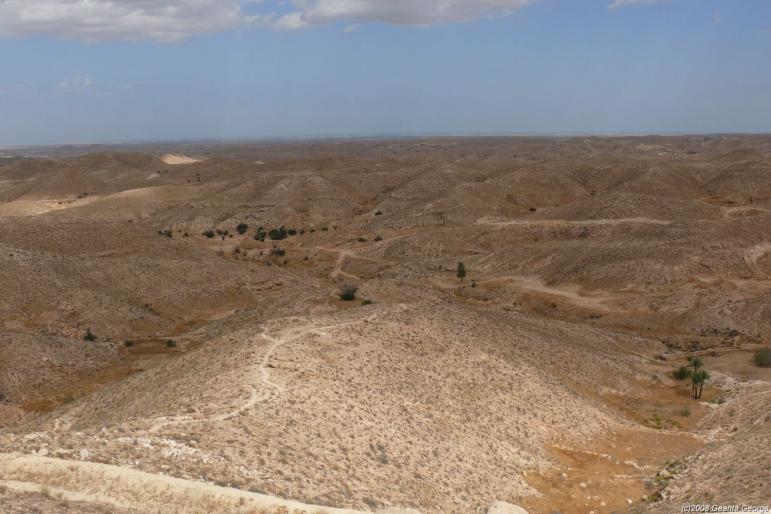 Tunisia_331 - Tunisia