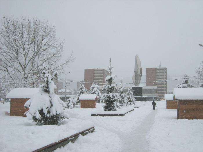 13.02.2009 (28)
